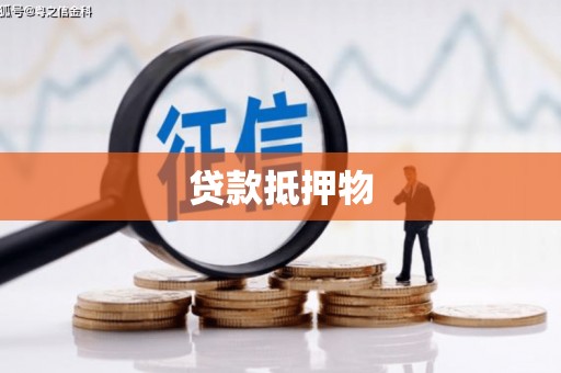 合山贷款抵押物