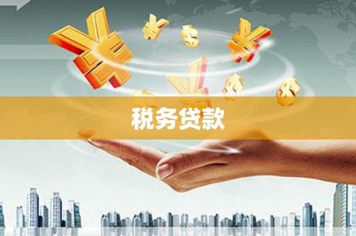 合山税务贷款