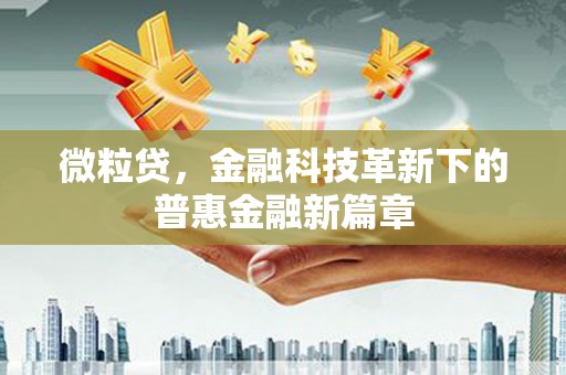 合山微粒贷，金融科技革新下的普惠金融新篇章