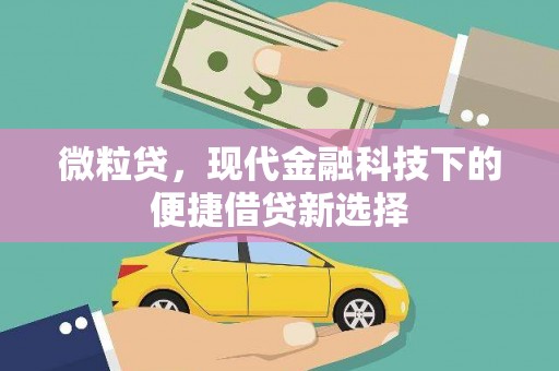 合山微粒贷，现代金融科技下的便捷借贷新选择