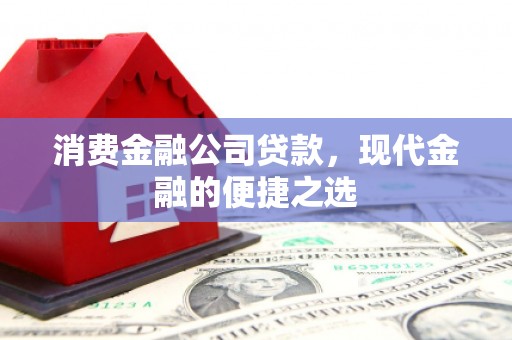 合山消费金融公司贷款，现代金融的便捷之选