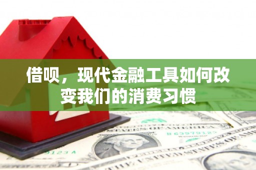 合山借呗，现代金融工具如何改变我们的消费习惯