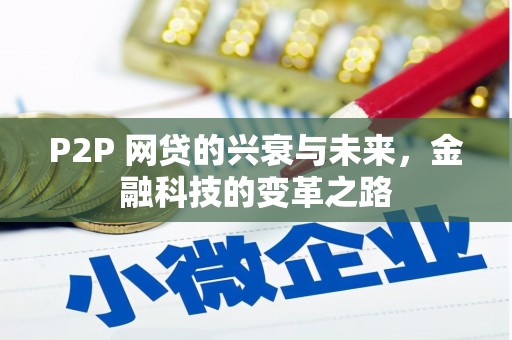 合山P2P 网贷的兴衰与未来，金融科技的变革之路