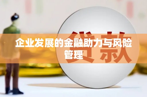合山企业发展的金融助力与风险管理