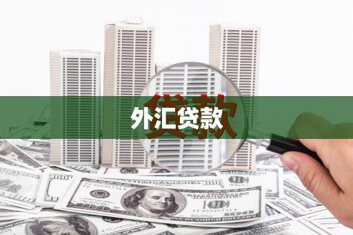 合山外汇贷款
