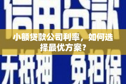 合山小额贷款公司利率，如何选择最优方案？