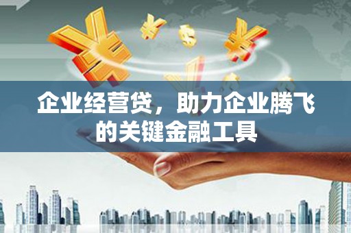 合山企业经营贷，助力企业腾飞的关键金融工具