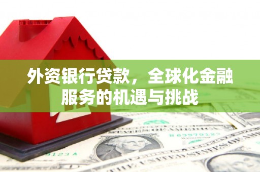 合山外资银行贷款，全球化金融服务的机遇与挑战