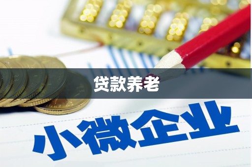 合山贷款养老