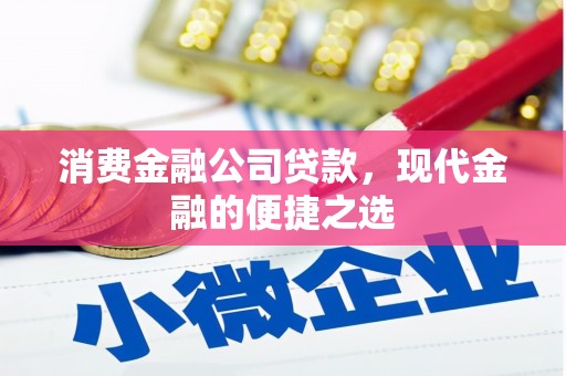合山消费金融公司贷款，现代金融的便捷之选