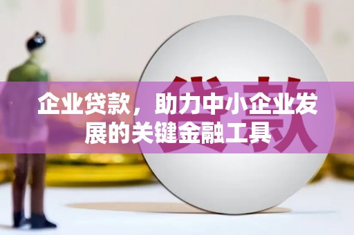 合山企业贷款，助力中小企业发展的关键金融工具