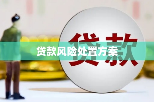 合山贷款风险处置方案