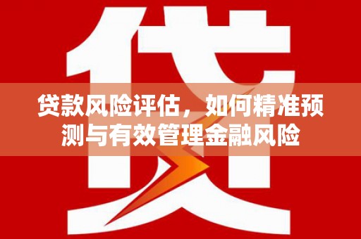 合山贷款风险评估，如何精准预测与有效管理金融风险