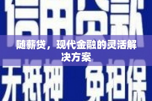 合山随薪贷，现代金融的灵活解决方案