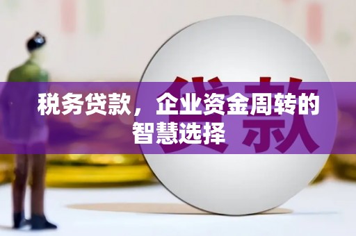 合山税务贷款，企业资金周转的智慧选择