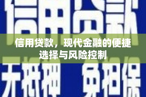合山信用贷款，现代金融的便捷选择与风险控制