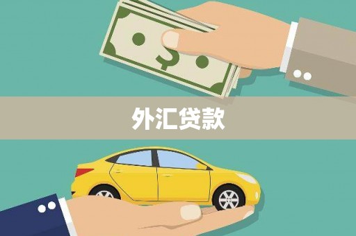 合山外汇贷款