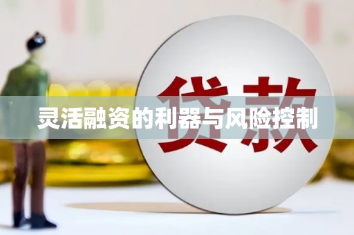 合山灵活融资的利器与风险控制