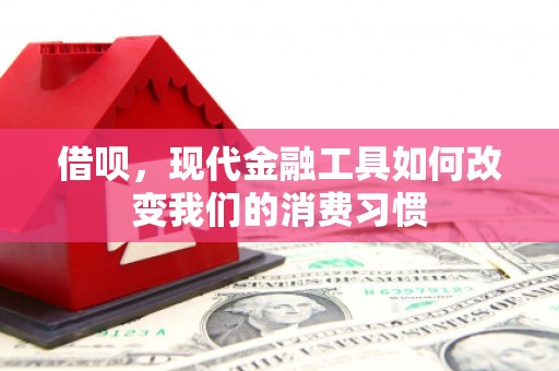 合山借呗，现代金融工具如何改变我们的消费习惯