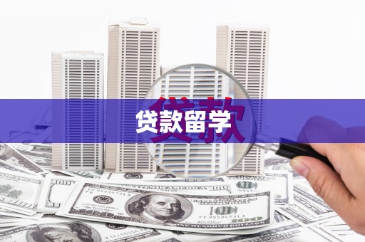 合山贷款留学