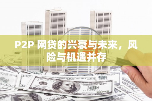 合山P2P 网贷的兴衰与未来，风险与机遇并存