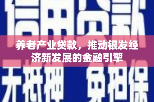 合山养老产业贷款，推动银发经济新发展的金融引擎