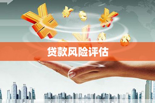 合山贷款风险评估