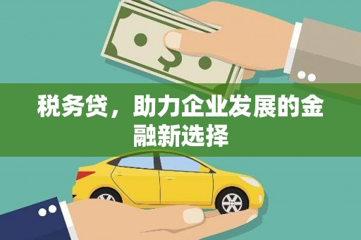 合山税务贷，助力企业发展的金融新选择