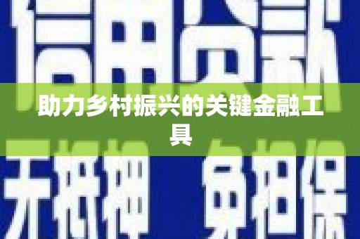 合山助力乡村振兴的关键金融工具