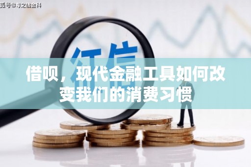 合山借呗，现代金融工具如何改变我们的消费习惯
