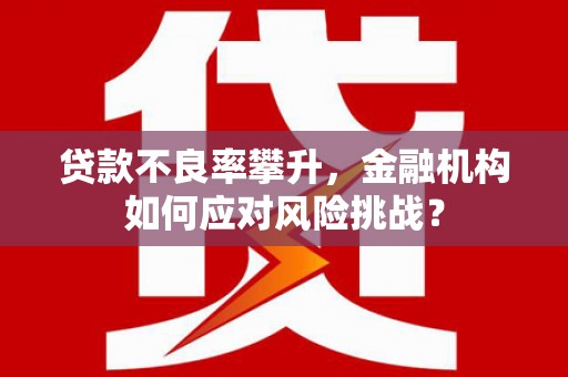 合山贷款不良率攀升，金融机构如何应对风险挑战？