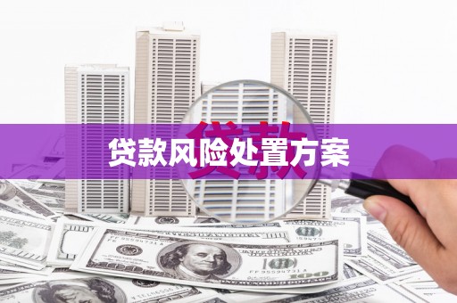 合山贷款风险处置方案