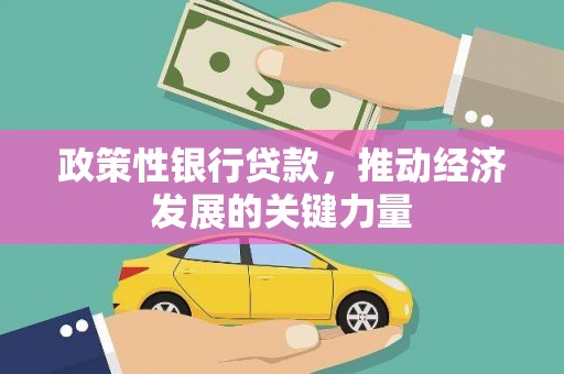 合山政策性银行贷款，推动经济发展的关键力量