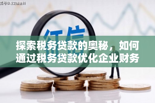 合山探索税务贷款的奥秘，如何通过税务贷款优化企业财务