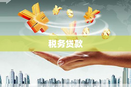 合山税务贷款