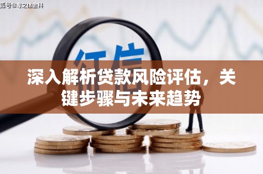 合山深入解析贷款风险评估，关键步骤与未来趋势