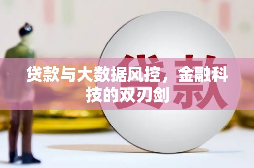 合山贷款与大数据风控，金融科技的双刃剑