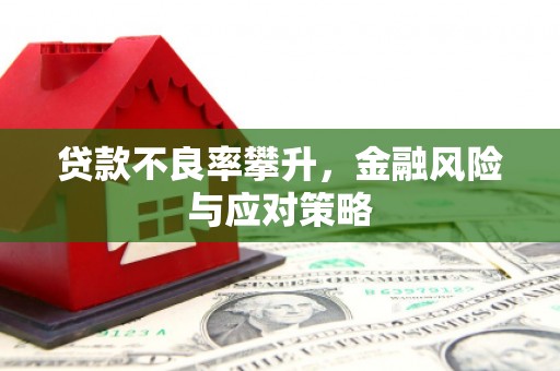 合山贷款不良率攀升，金融风险与应对策略