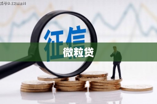 合山微粒贷