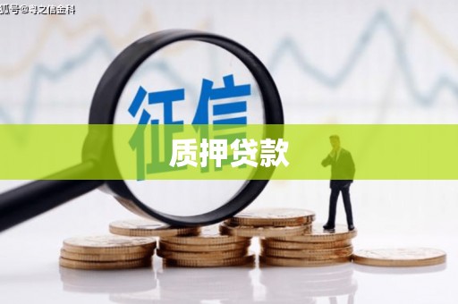 合山质押贷款