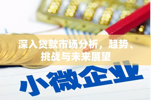 合山深入贷款市场分析，趋势、挑战与未来展望