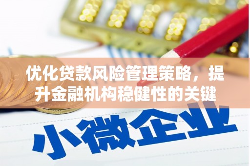 合山优化贷款风险管理策略，提升金融机构稳健性的关键