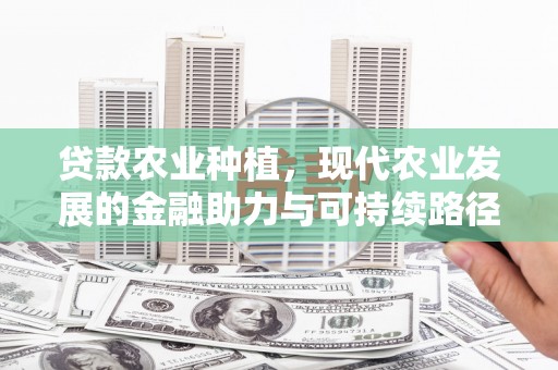 合山贷款农业种植，现代农业发展的金融助力与可持续路径