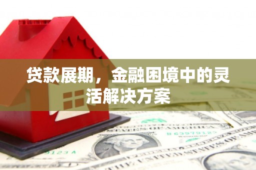 合山贷款展期，金融困境中的灵活解决方案