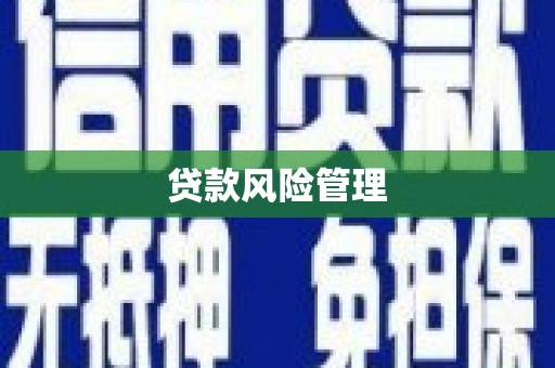 合山贷款风险管理