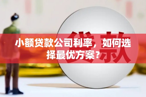合山小额贷款公司利率，如何选择最优方案？