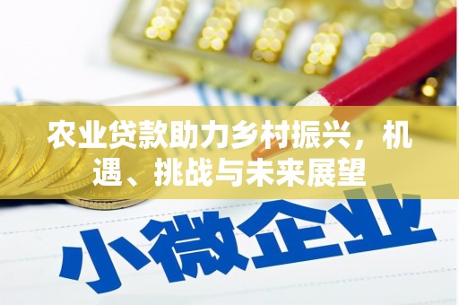 合山农业贷款助力乡村振兴，机遇、挑战与未来展望