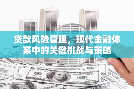 合山贷款风险管理，现代金融体系中的关键挑战与策略