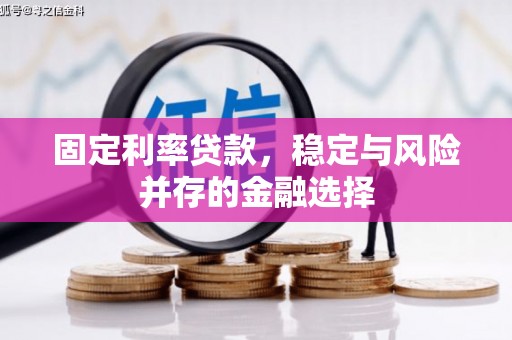 合山固定利率贷款，稳定与风险并存的金融选择