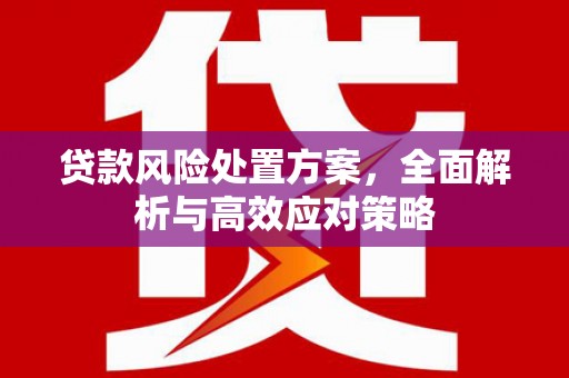 合山贷款风险处置方案，全面解析与高效应对策略